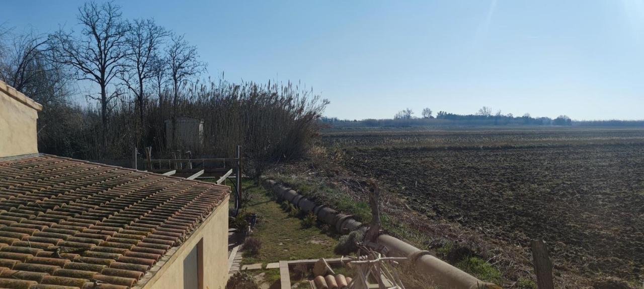 Appartement Au Coeur Des Rizieres Salin-de-Giraud Luaran gambar