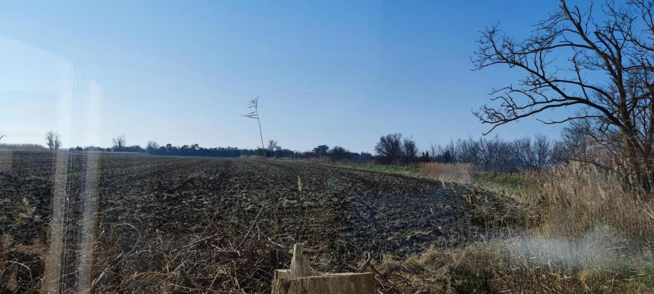 Appartement Au Coeur Des Rizieres Salin-de-Giraud Luaran gambar