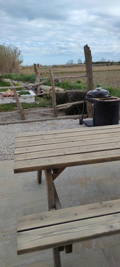 Appartement Au Coeur Des Rizieres Salin-de-Giraud Luaran gambar